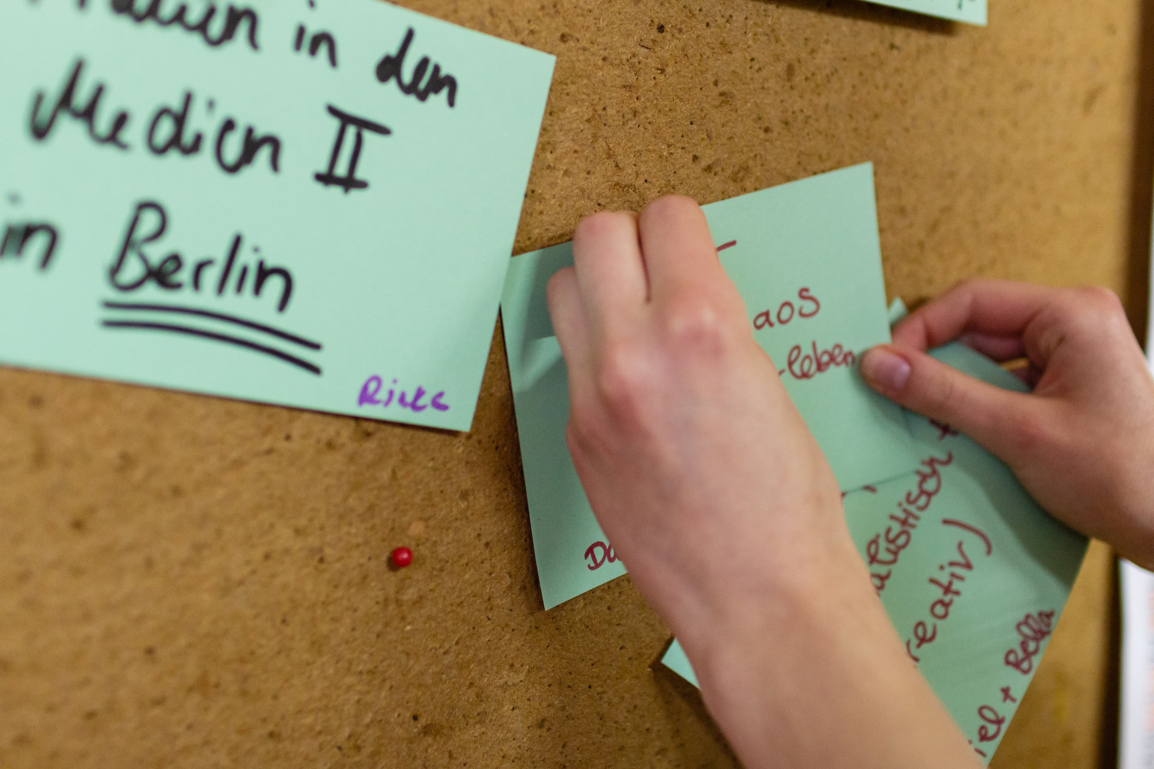 Ab dem 1. Februar für ein FSJ-Politik bei der JPN bewerben!